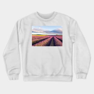 Lavender Field At Sunrise Crewneck Sweatshirt